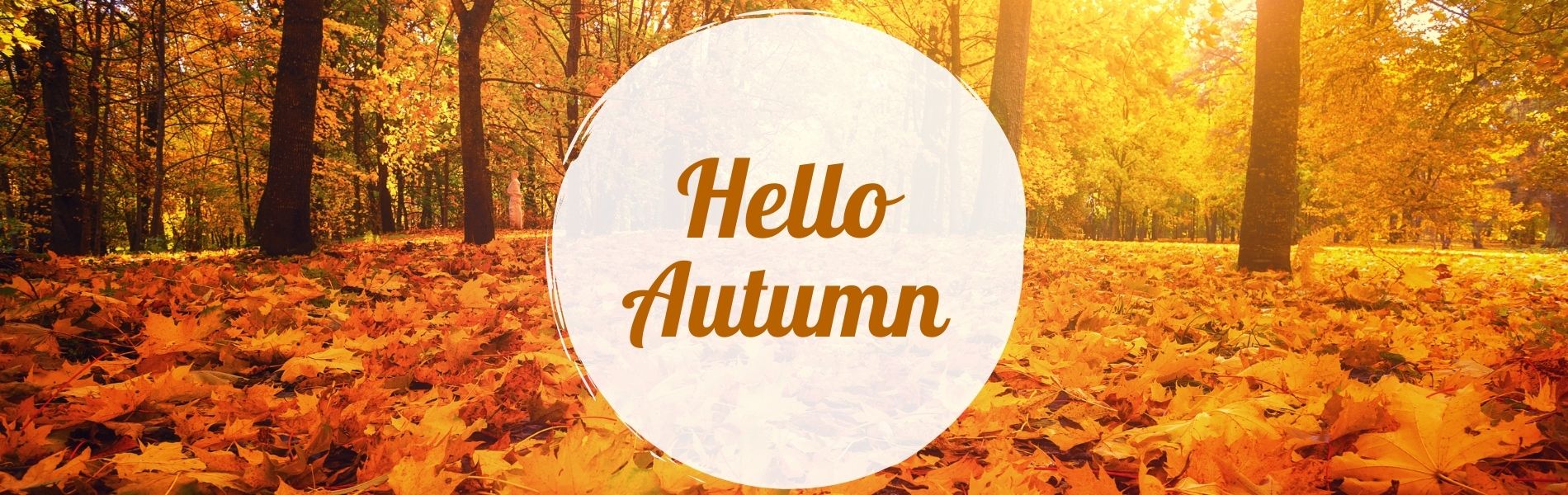 Hello autumn banner